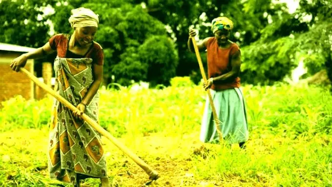Invest yourself on agricultural activies and live free