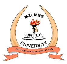 MZUMBE Selections 2020/21 SECOND Round